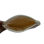 Hand holding a beige pouch with floral edge on a white background